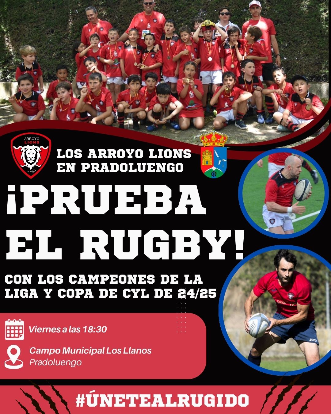 🏉 ¿TE GUSTA EL RUGBY? 🏉