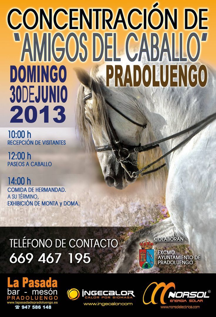 Concentración de amigos del caballo 2013