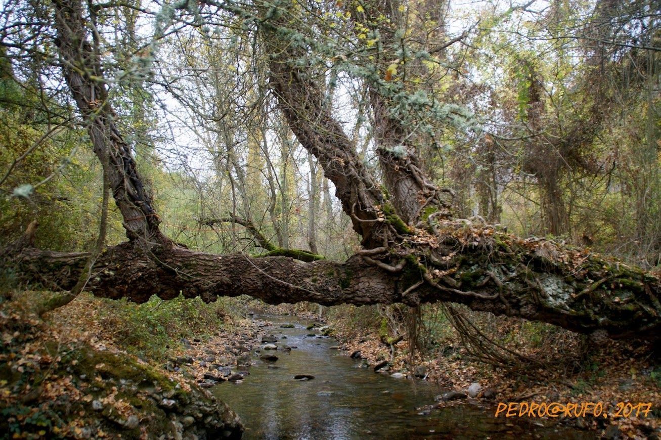 Desfiladero de Garganchón o del Río Urbión (PRC BU-58)