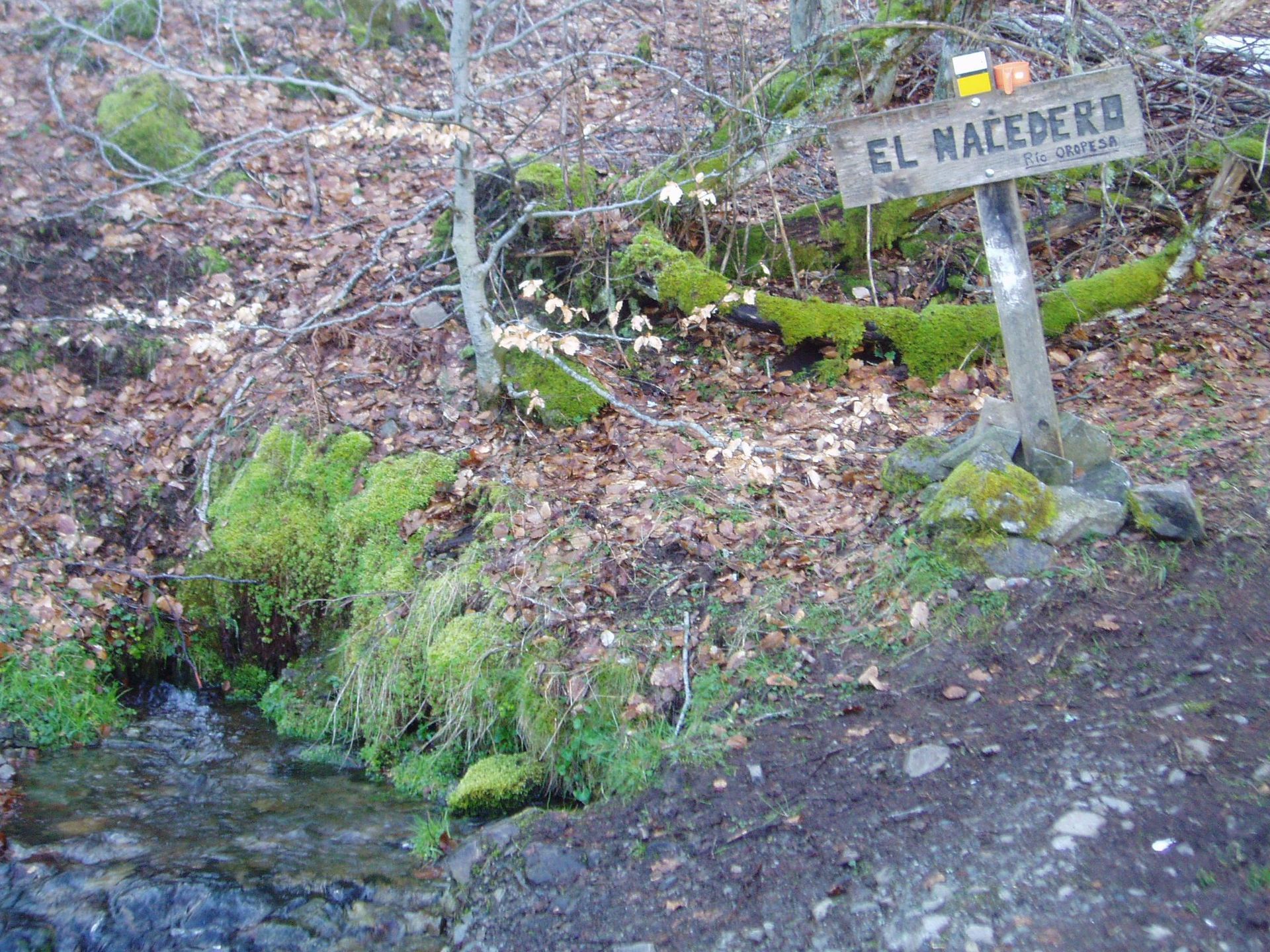 El Nacedero del Río Oropesa (PRC BU-59)