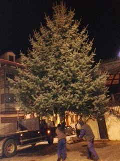 Árbol navideño en Pradoluengo