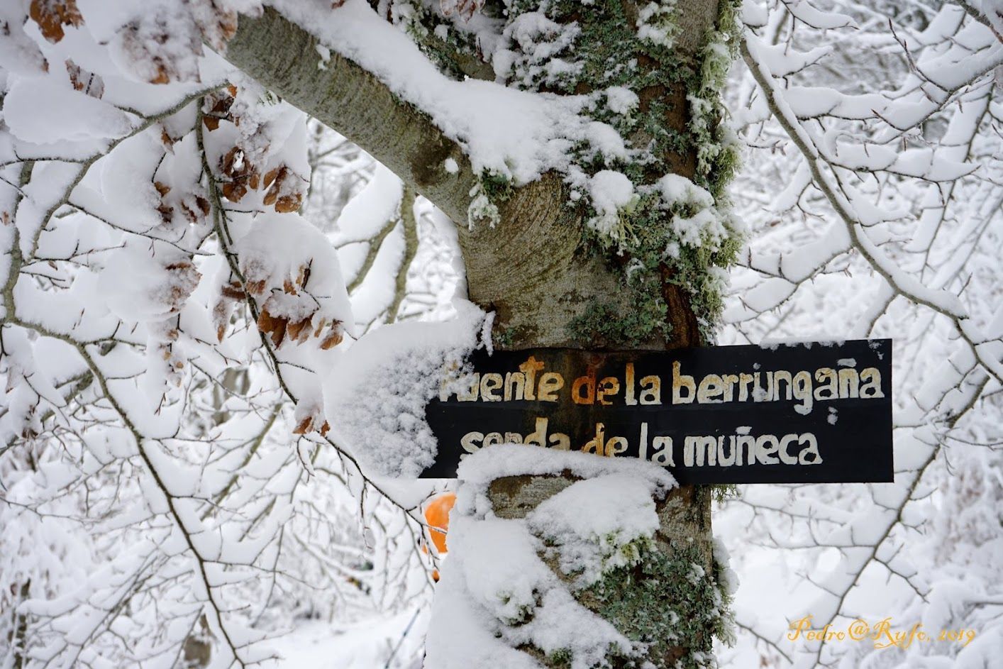 Fuente La Berrungaña (por la Senda de la Muñeca)