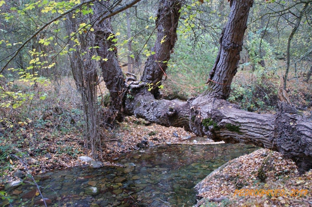 Desfiladero de Garganchón o del Río Urbión (PRC BU-58)