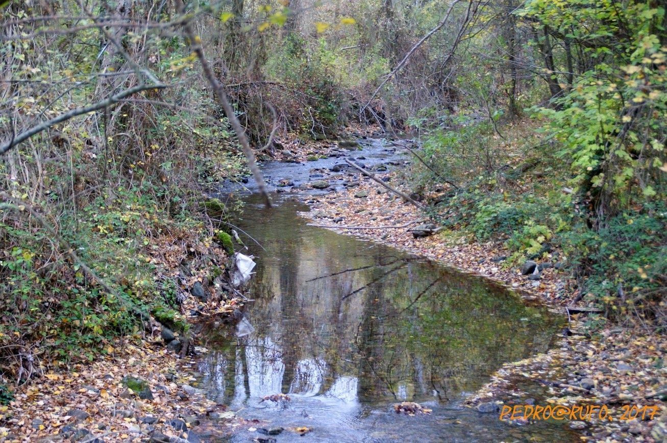 Desfiladero de Garganchón o del Río Urbión (PRC BU-58)