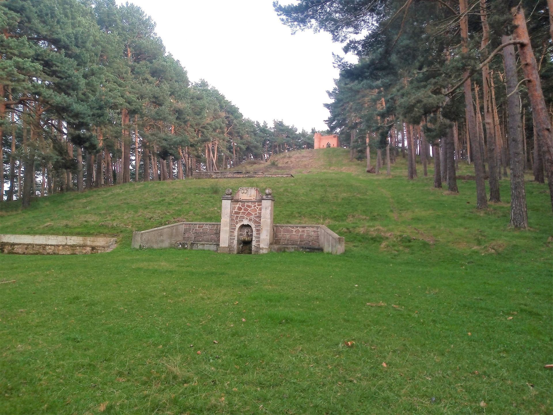 Pinar del Regoluna (Área recreativa "La Cascada")