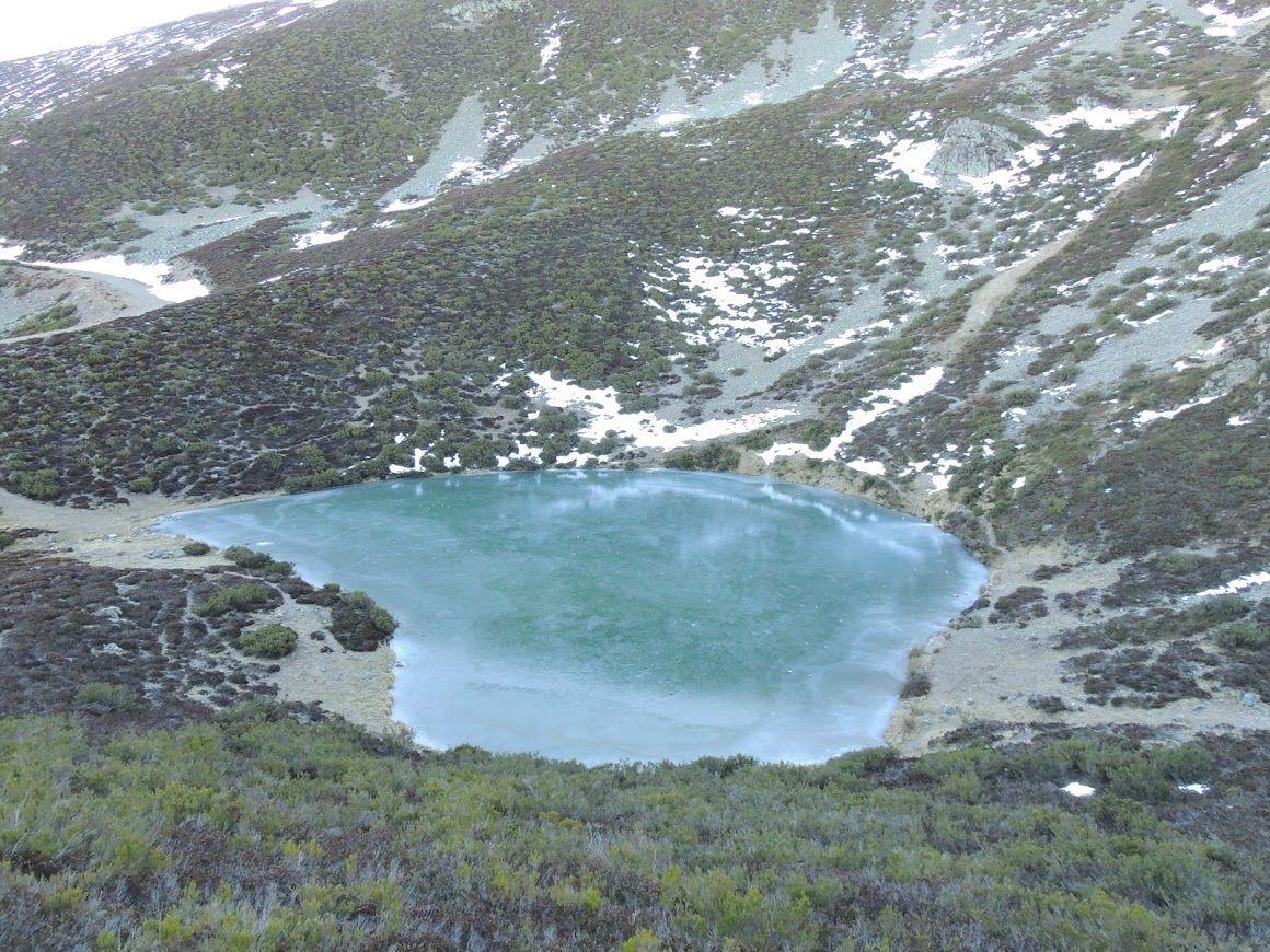 Pozo Negro